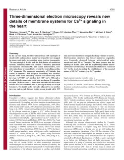 Three-dimensional electron microscopy reveals new details of