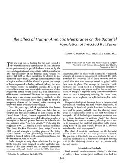 The Effect of Human Amniotic Membranes on the Bacterial