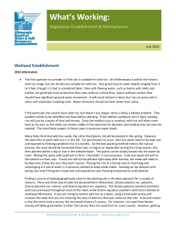 Wetland Establishment - Minnesota Board of Water and Soil