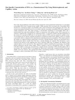 Size-Specific Concentration of DNA to a