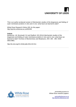 Mechanistic studies of the biogenesis and folding of outer