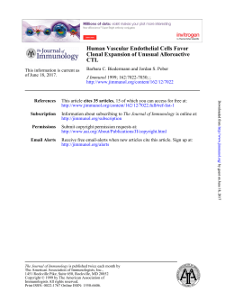 CTL Clonal Expansion of Unusual Alloreactive Human Vascular