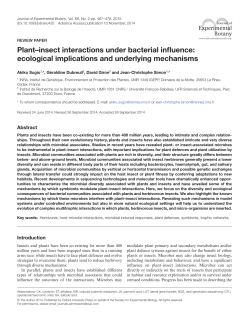 Plant&ndash;insect interactions under bacterial influence