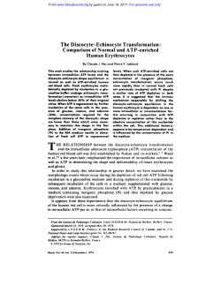 The Discocyte-Echinocyte Transformation