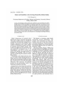 Pattern and Instability in the Evolving Premaxilla of Boine Snakes