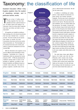 Taxonomy