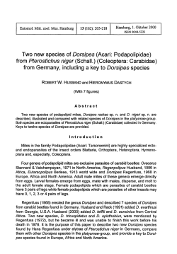 (Acari: Podapolipidae) from Pterostichus niger