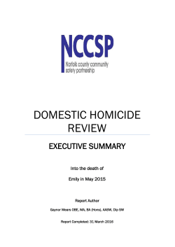 Emily - Executive summary