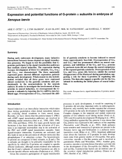 Expression and potential functions Xenopus laevis of G
