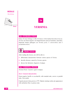 Lesson 26. Yersinia