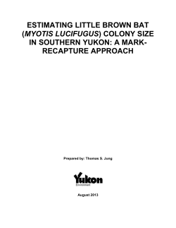 (myotis lucifugus) colony size in southern yukon