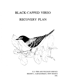 bcv recovery plan