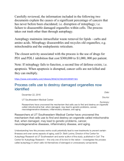 Process cells use to destroy damaged organelles now identified