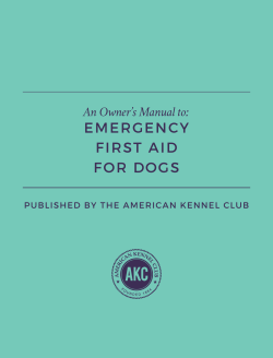 emergency first aid for dogs