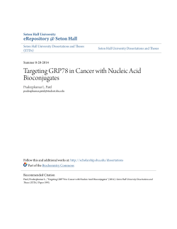 Targeting GRP78 in Cancer with Nucleic Acid Bioconjugates