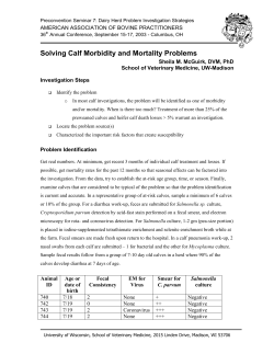 Calf Problem Herd Investigations