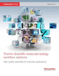 Brochure: Thermo Scientific Molecular Biology Workflow Solutions