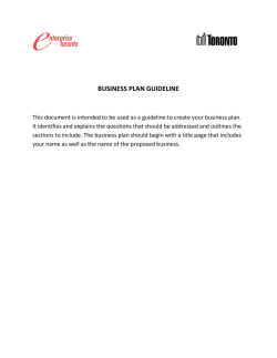 Business Plan Guidelines