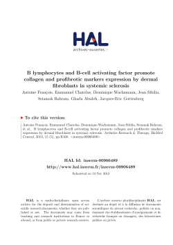 B lymphocytes and B-cell activating factor promote collagen