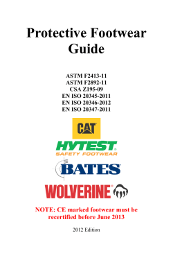 Protective Footwear Guide