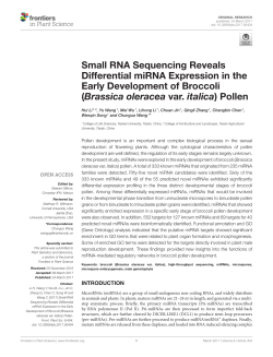 Small RNA Sequencing Reveals Differential miRNA Expression in