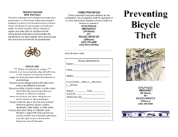 Bicycle Theft