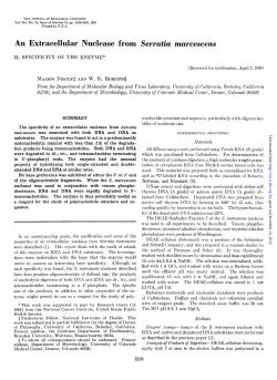 An Extracellular Nuclease from Serratia