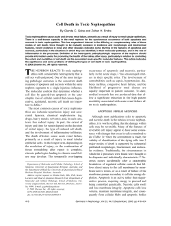 Cell Death in Toxic Nephropathies