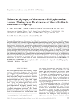 Molecular phylogeny of the endemic Philippine rodent Apomys