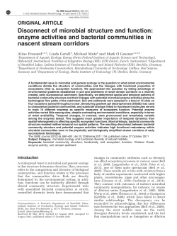 Disconnect of microbial structure and function: enzyme