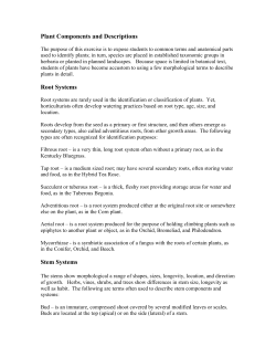 Plant Components and Descriptions