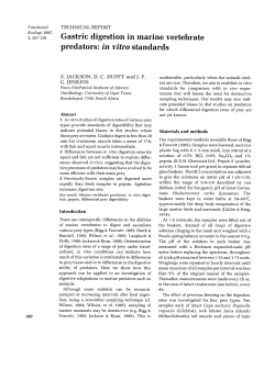 Gastric digestion in marine vertebrate predators