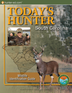 today`s hunter - Hunter