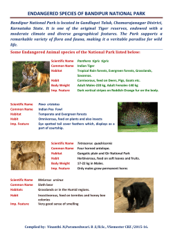 Bandipur national park