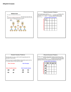 Dihybrid Crosses Note