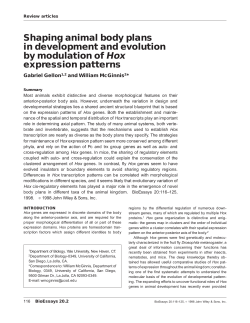 Shaping animal body plans in development and