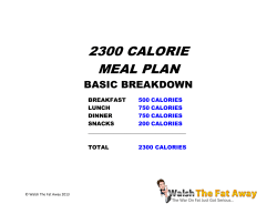 2300 CALORIE MEAL PLAN