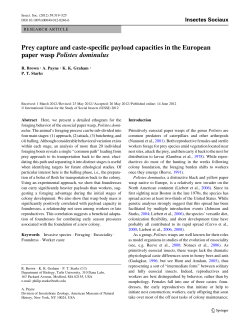 Prey capture and caste-specific payload capacities