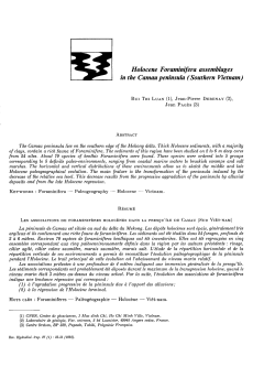Holocene foraminifera assemblages in the Camau peninsula