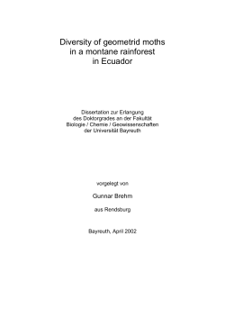 as a PDF
