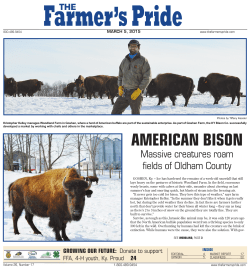 american bison - University of Kentucky