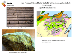 Non Ferrous Mineral Potential of the Penokean Volcanic Belt Tom