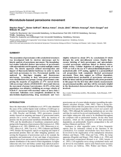 Microtubule-based peroxisome movement