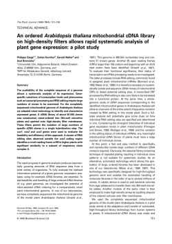 An ordered Arabidopsis thaliana mitochondrial cDNA library on high