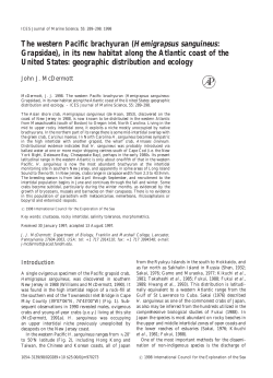 The western Pacific brachyuran (hemigrapsus sanguineus