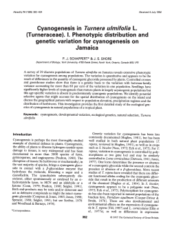 Cyanogenesis in Turnera ulmifolla L. (Turneraceae). I. Phenotypic