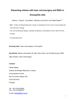 Dissecting mitosis with laser microsurgery and RNAi in Drosophila
