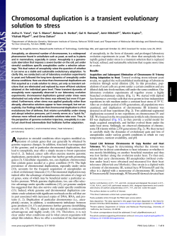 Chromosomal duplication is a transient evolutionary solution to stress