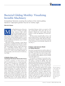 Article PDF - American Society for Microbiology
