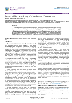 Trees and Shrubs with High Carbon Fixation/Concentration